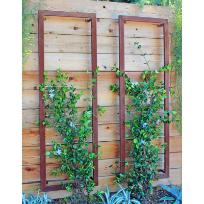 trellis metal steel ina wayfair mounted garden trellises outdoor